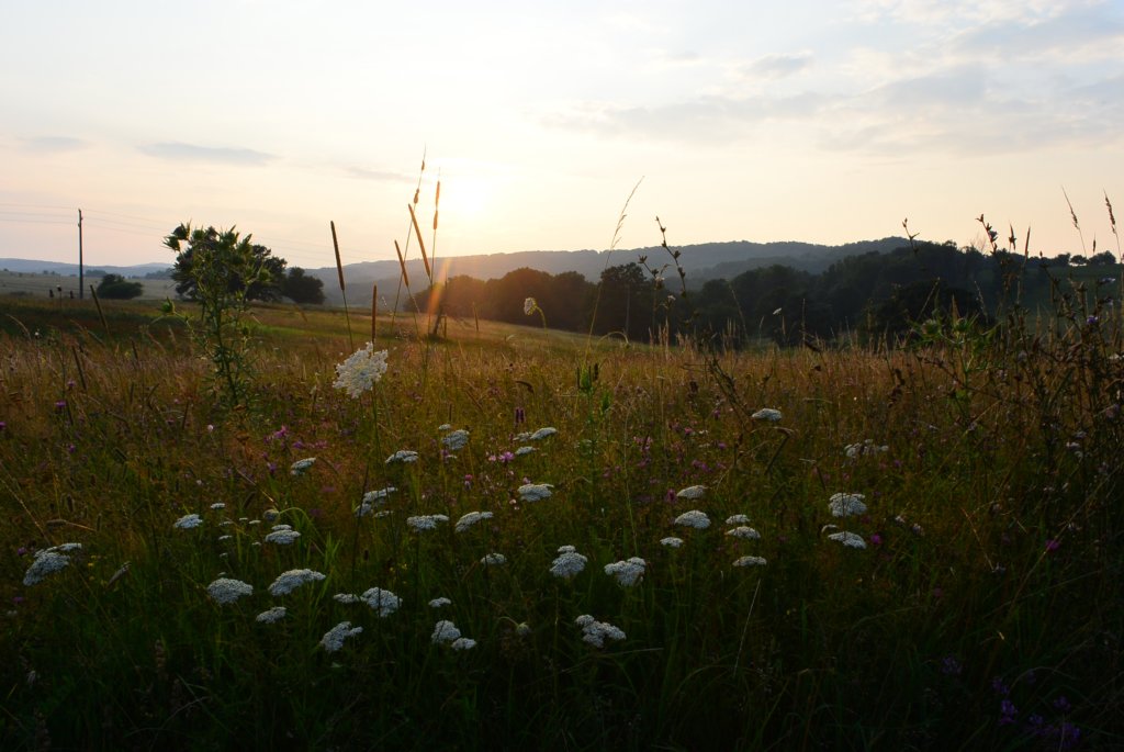 photo89.jpg