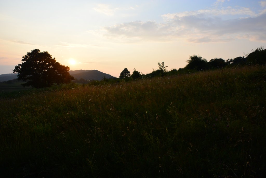 photo99.jpg