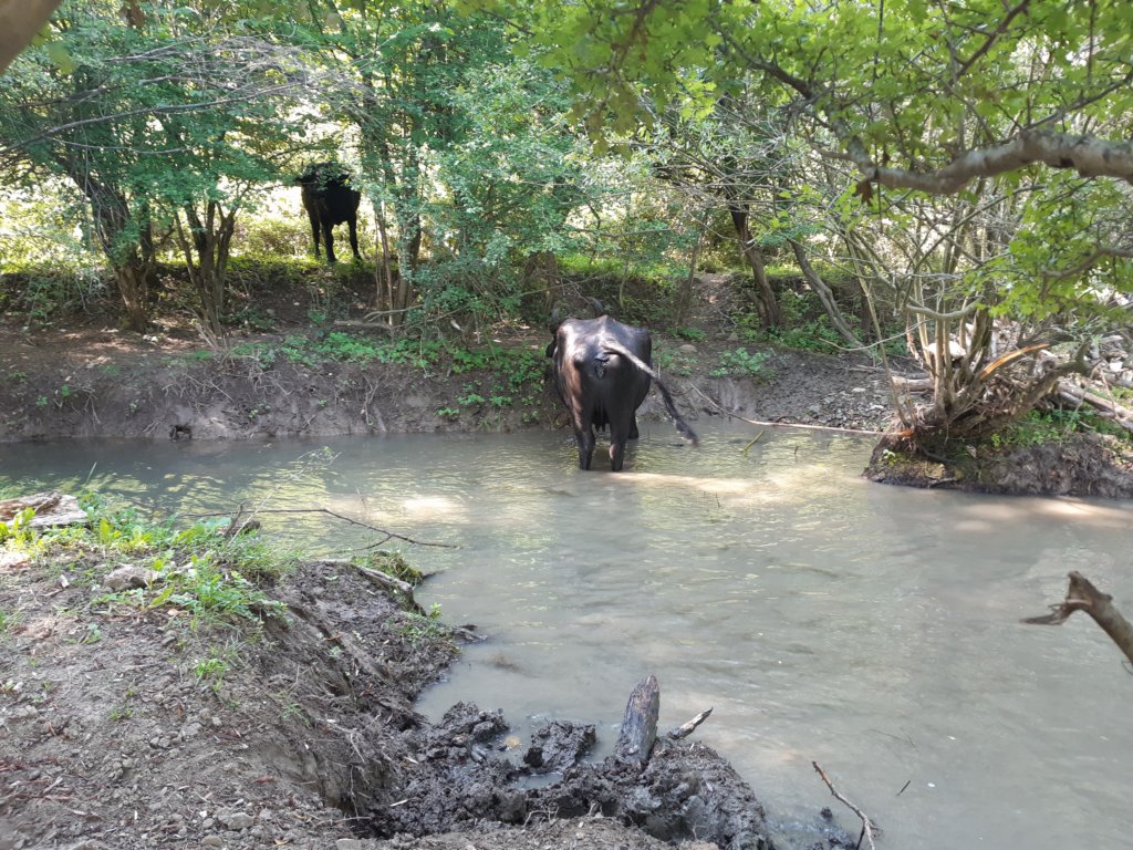 photo21.jpg