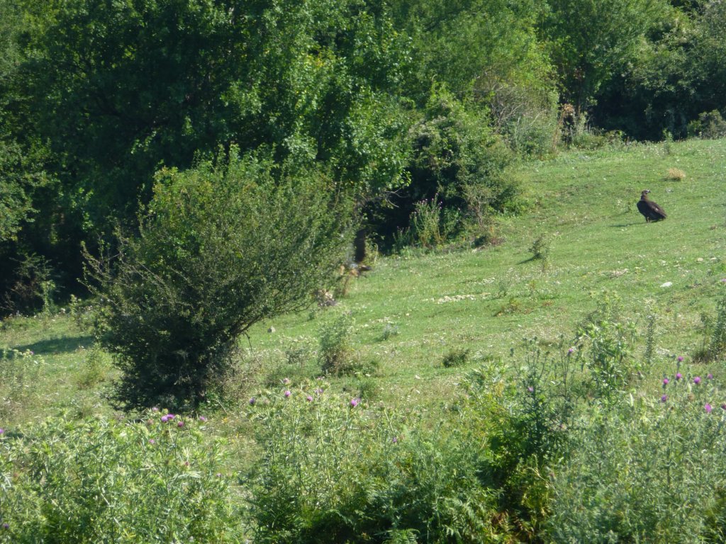 photo30.jpg
