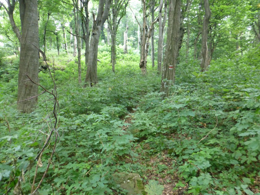 photo11.jpg