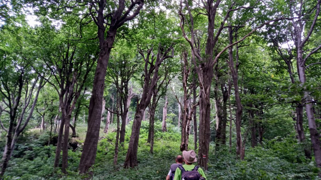 photo14.jpg