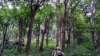 photo14_small.jpg