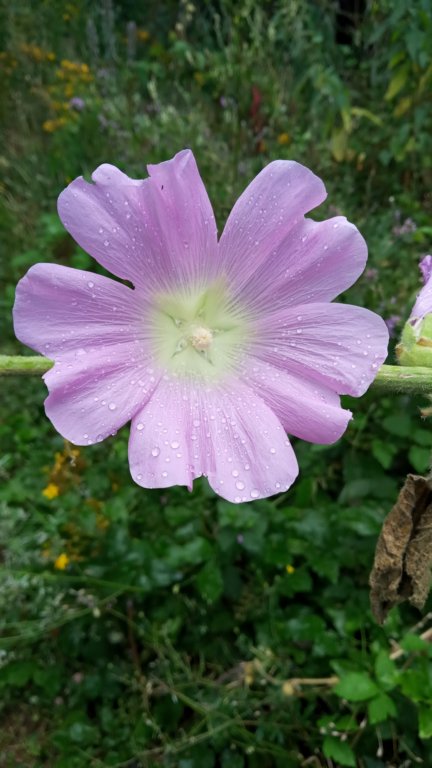 photo24.jpg