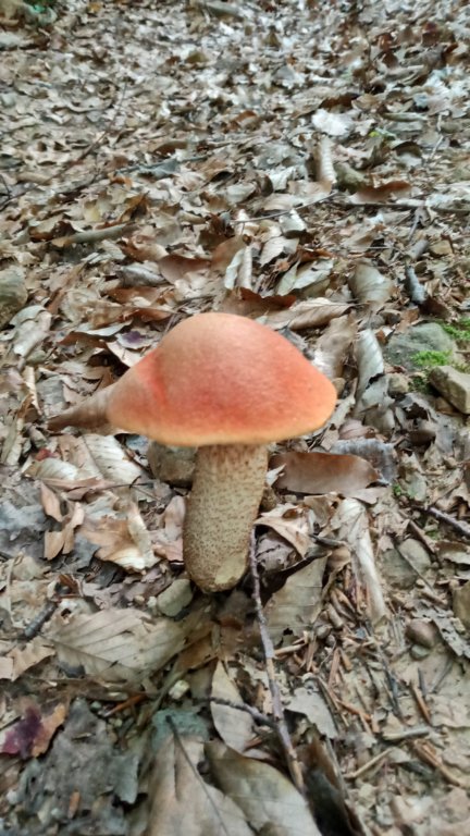 photo3.jpg