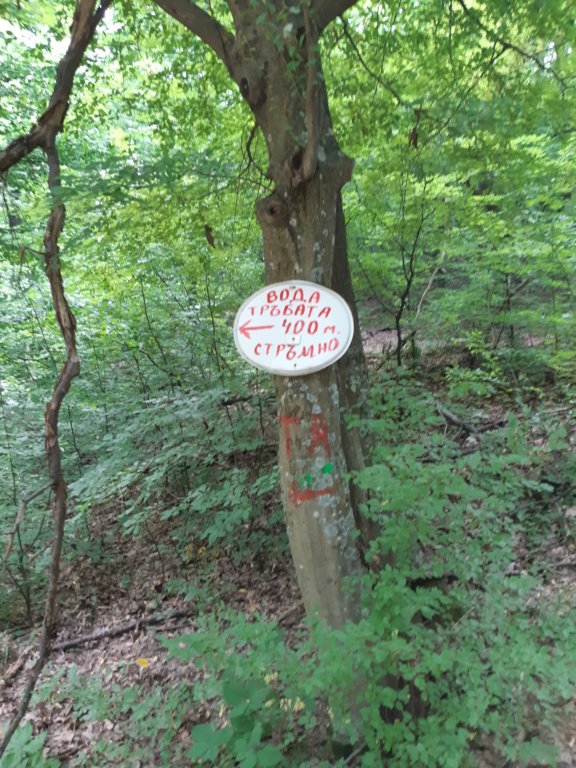 photo31.jpg