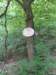 photo31_small.jpg