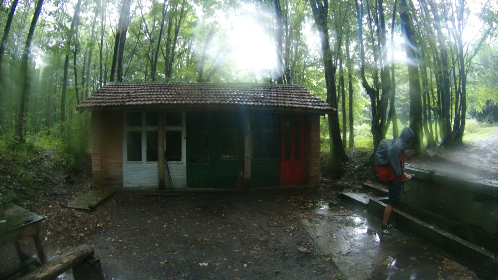photo40.jpg