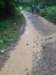 photo44_small.jpg