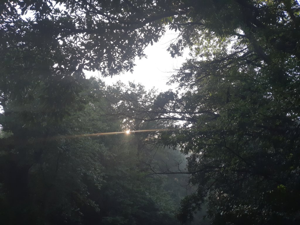 photo49.jpg