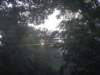 photo49_small.jpg
