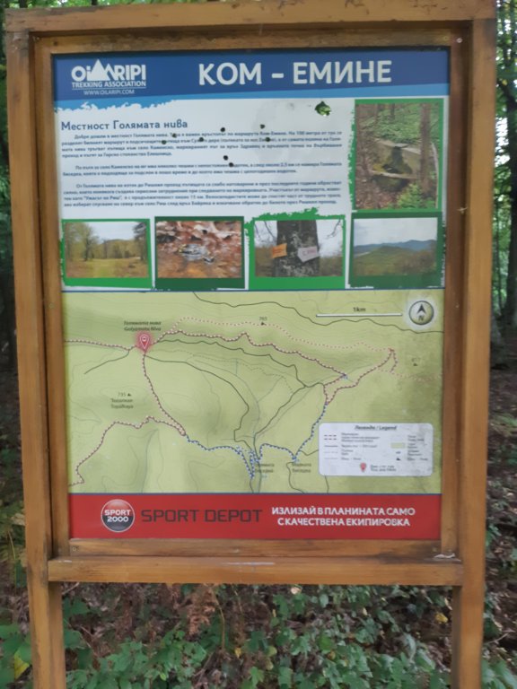 photo5.jpg