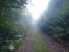 photo50_small.jpg