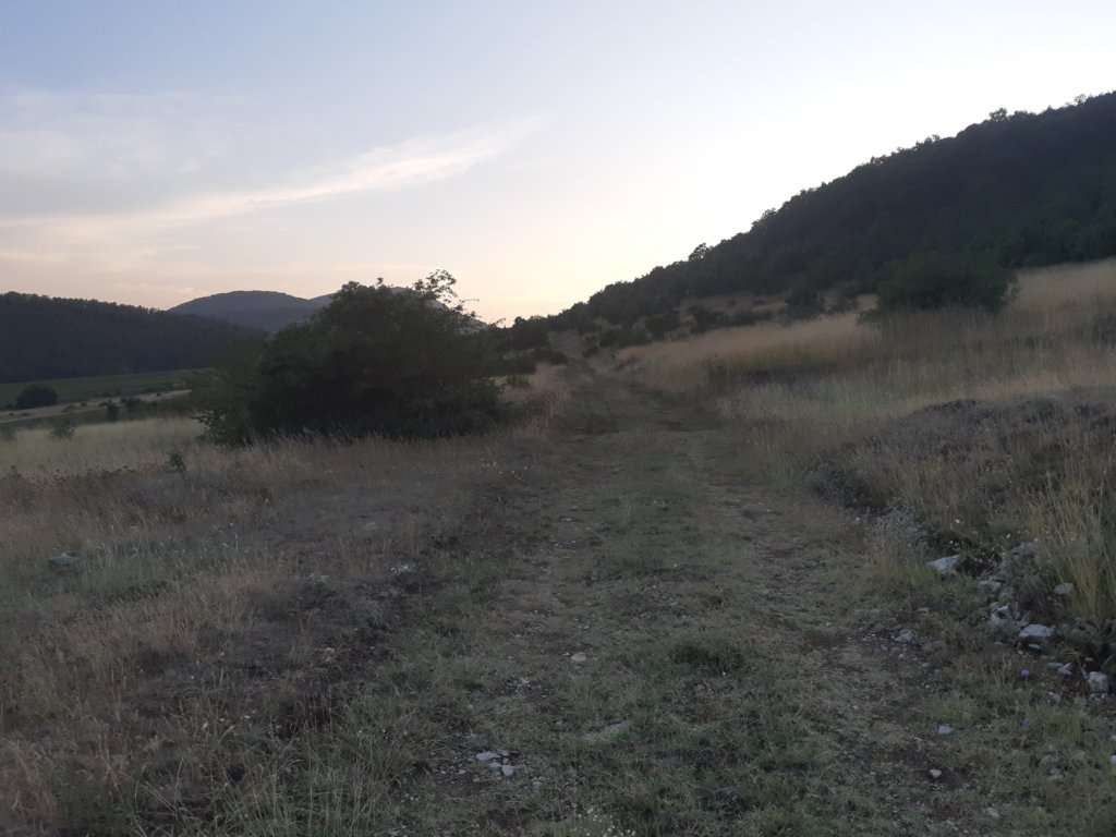photo56.jpg
