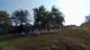 photo12_small.jpg