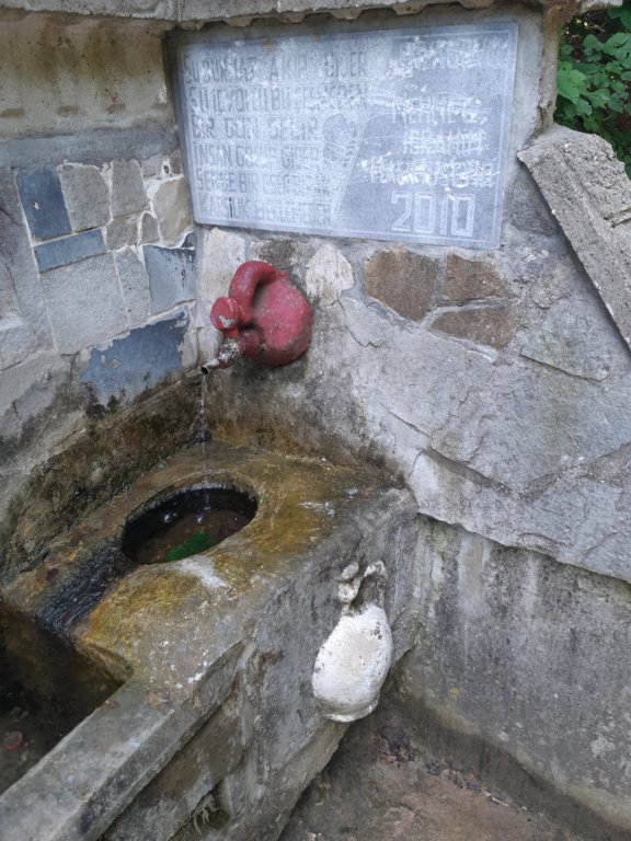 photo20.jpg