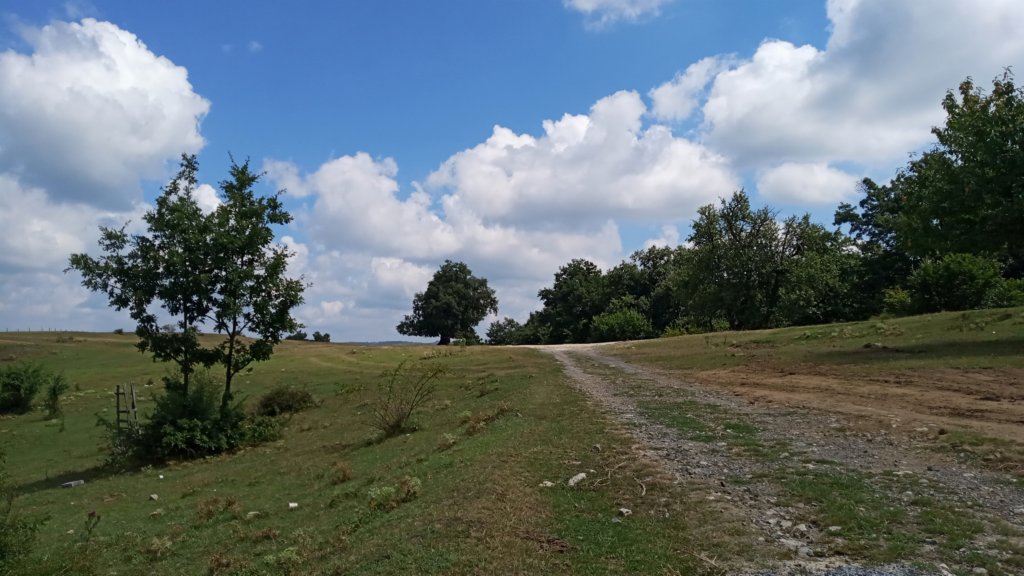 photo23.jpg