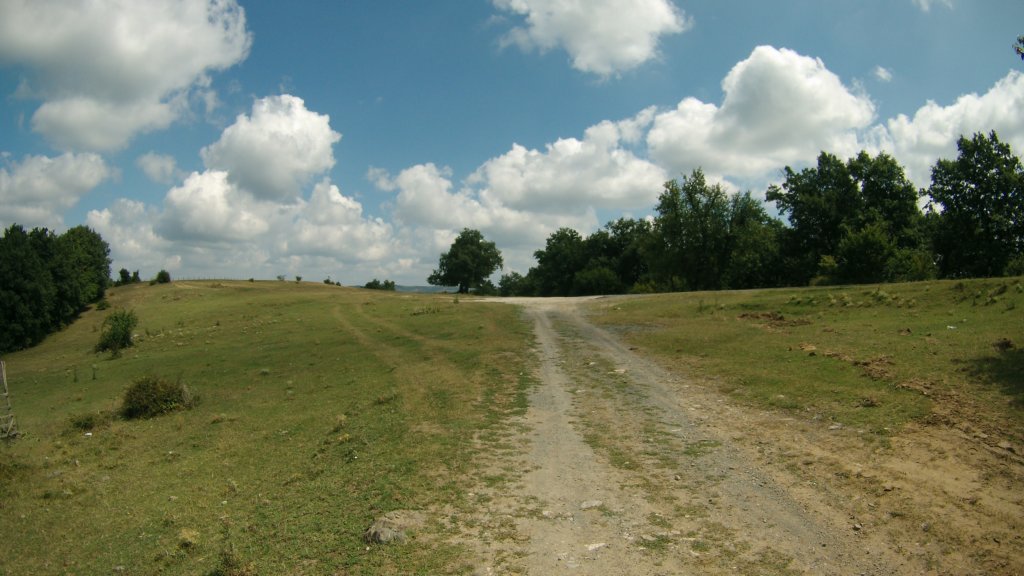 photo24.jpg