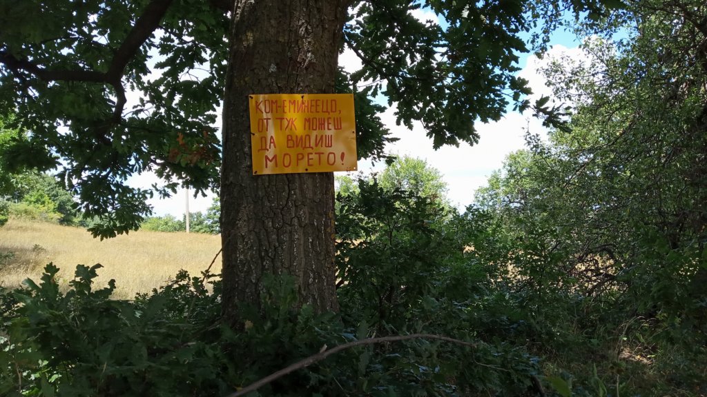 photo32.jpg