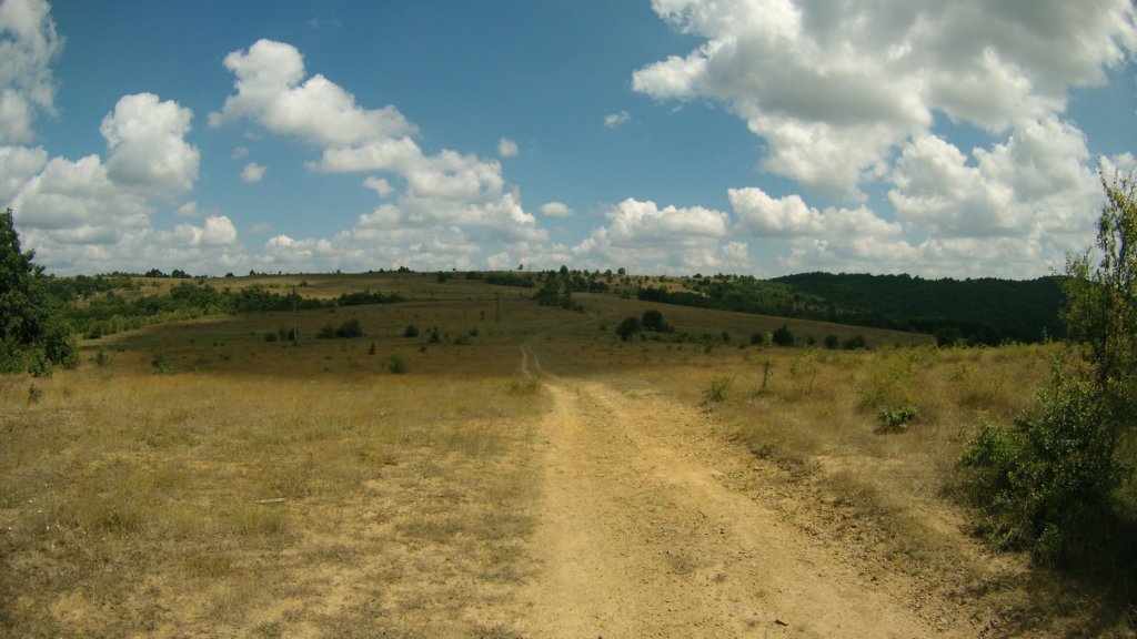 photo33.jpg