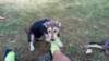 photo46_small.jpg