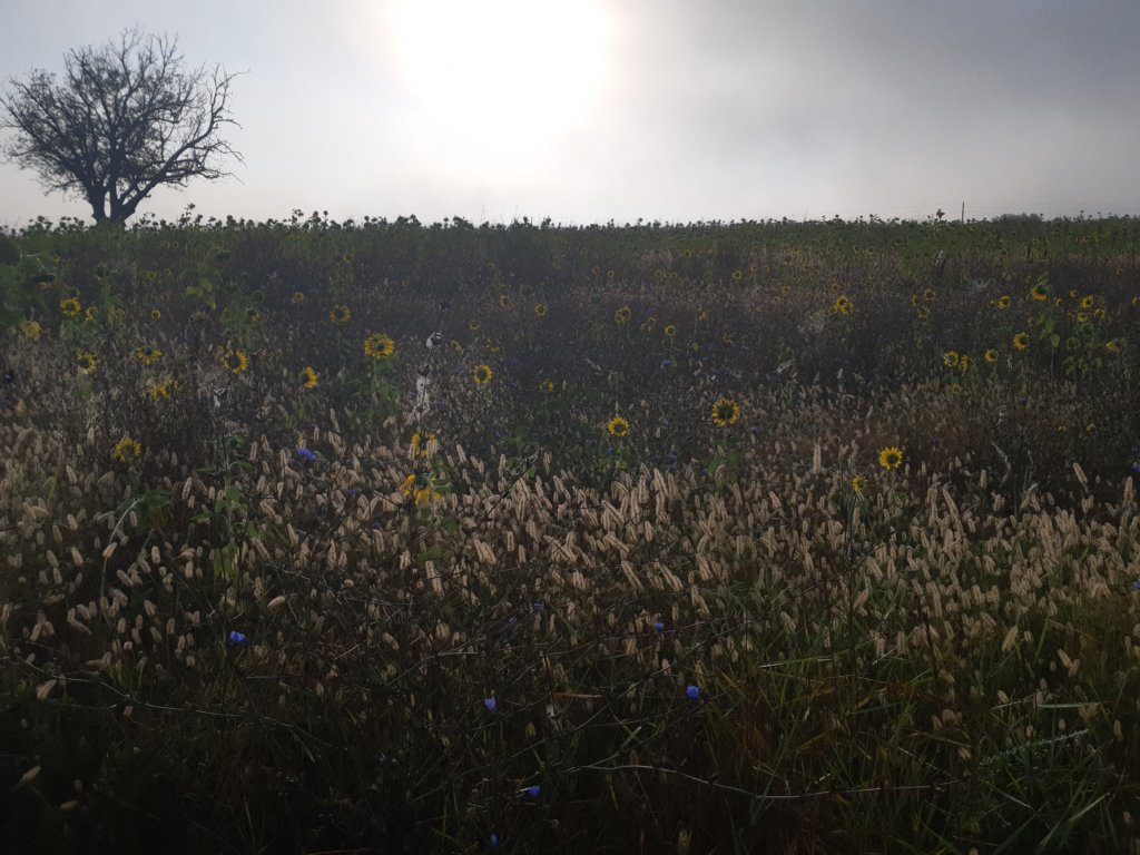 photo6.jpg