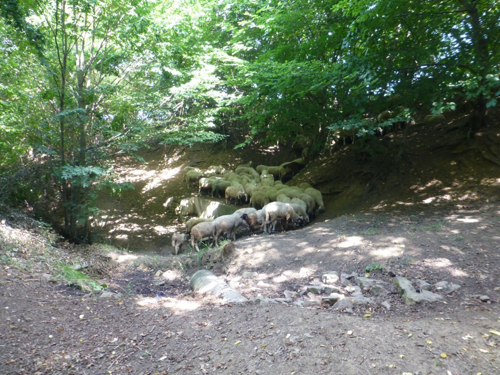 photo67.jpg