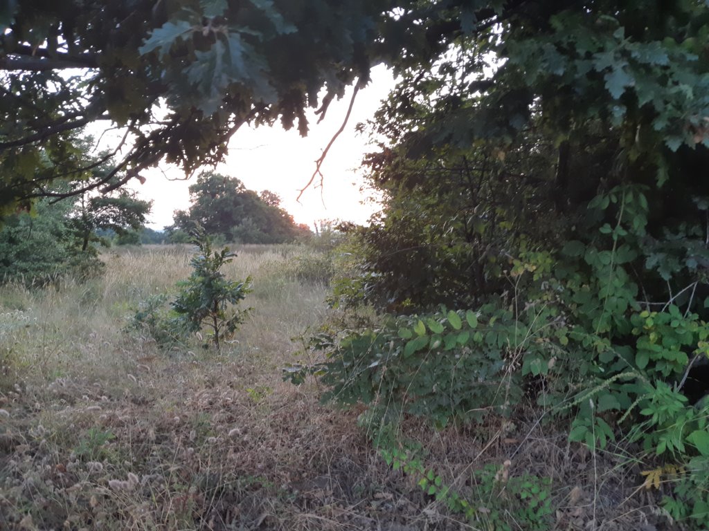 photo79.jpg