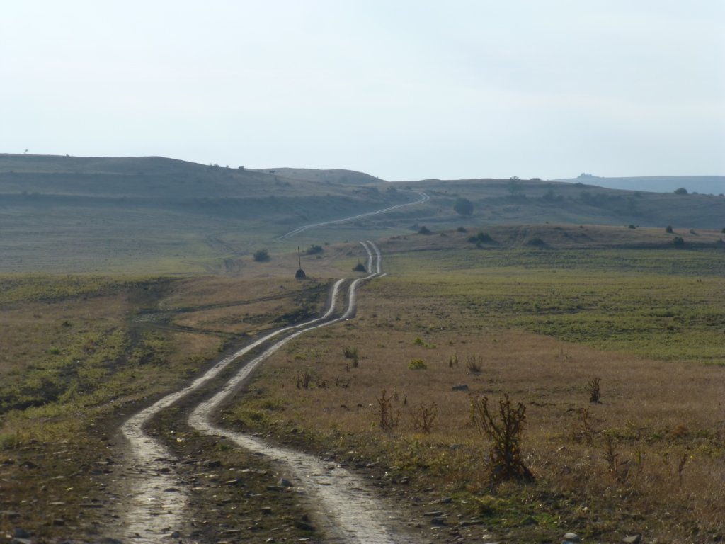 photo25.jpg