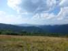 photo115_small.jpg