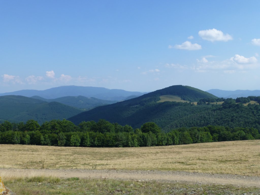 photo126.jpg
