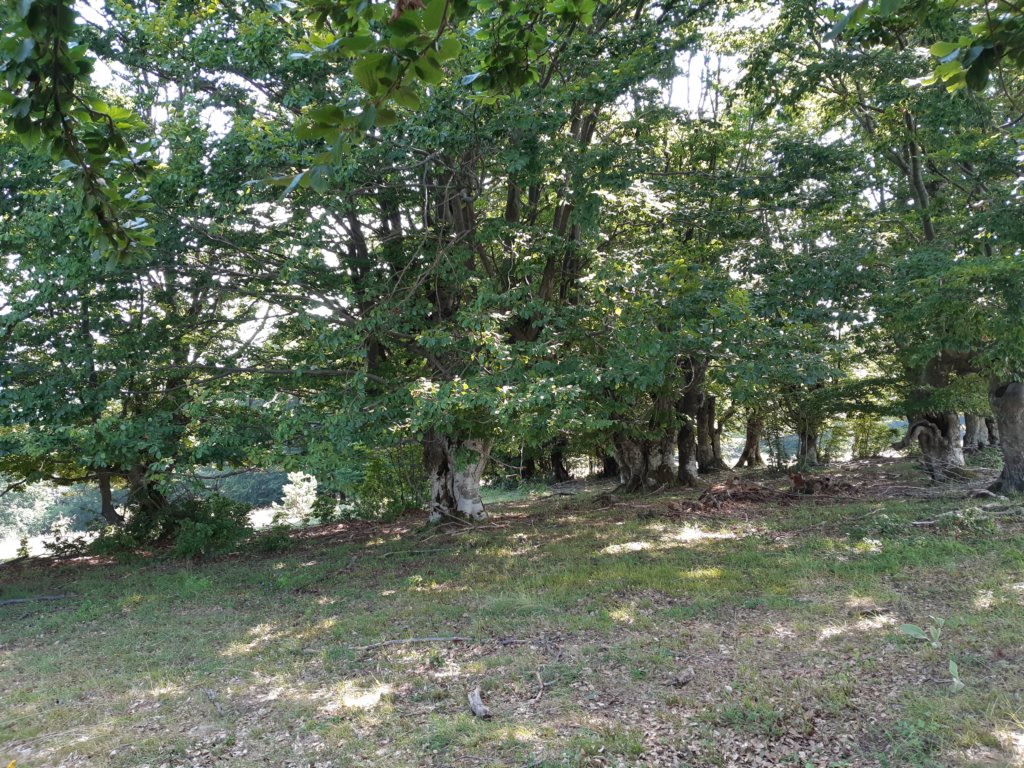 photo139.jpg