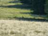 photo142_small.jpg