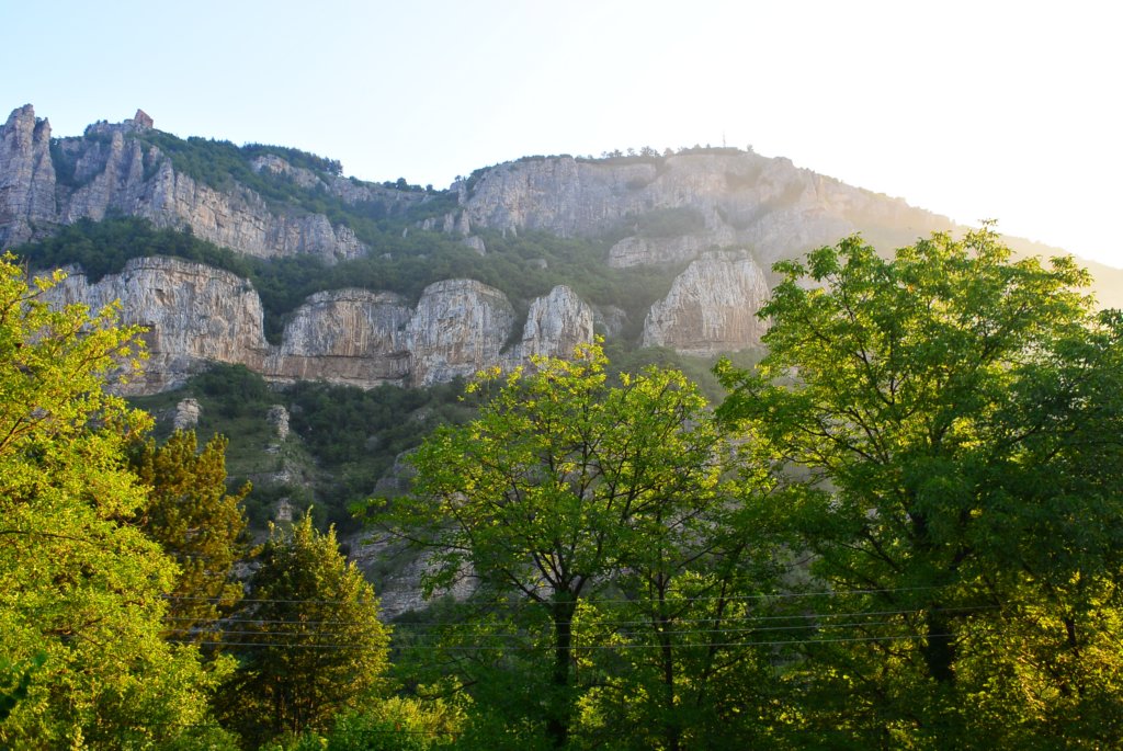 photo2.jpg