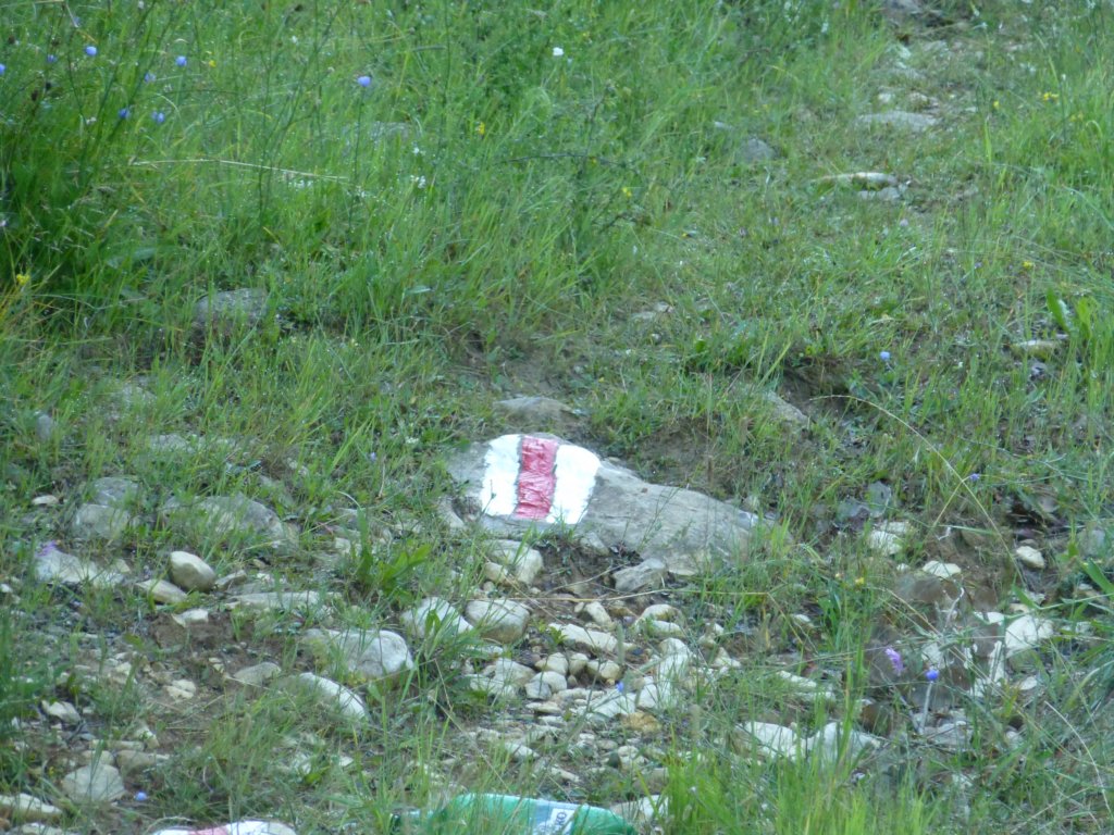 photo35.jpg