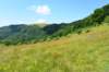 photo54_small.jpg