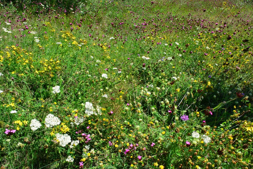 photo56.jpg