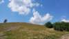 photo98_small.jpg