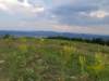 photo100_small.jpg