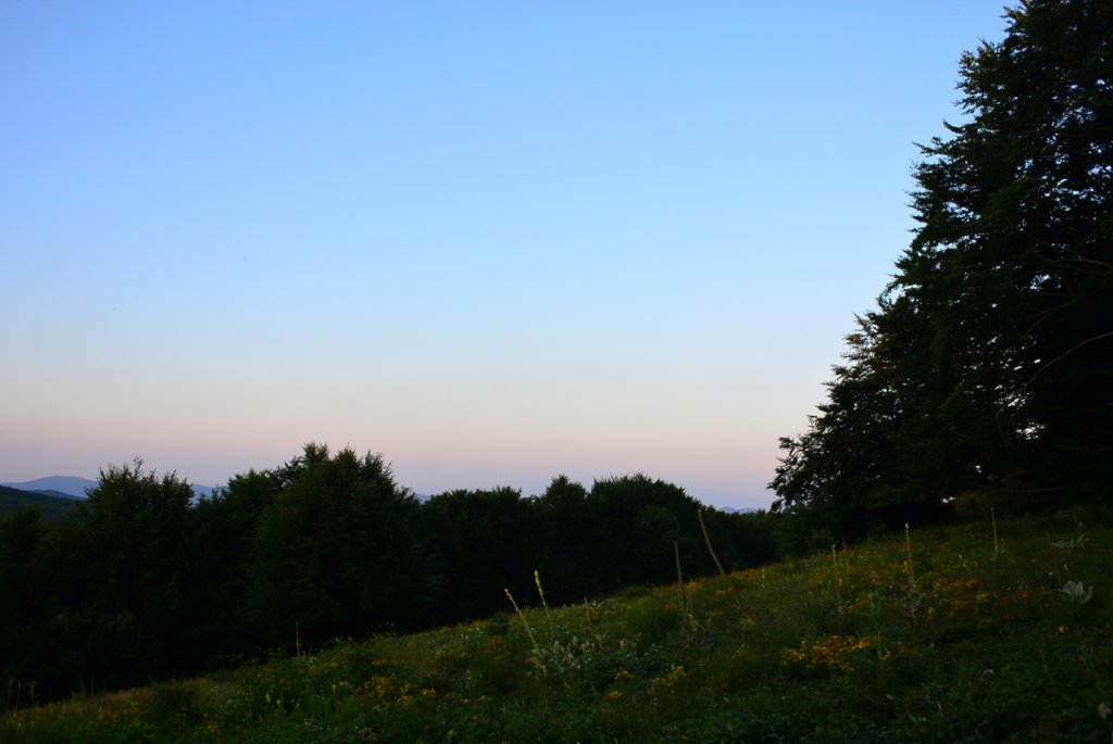 photo16.jpg