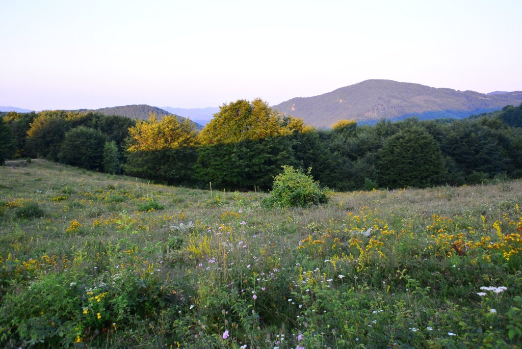 photo18.jpg