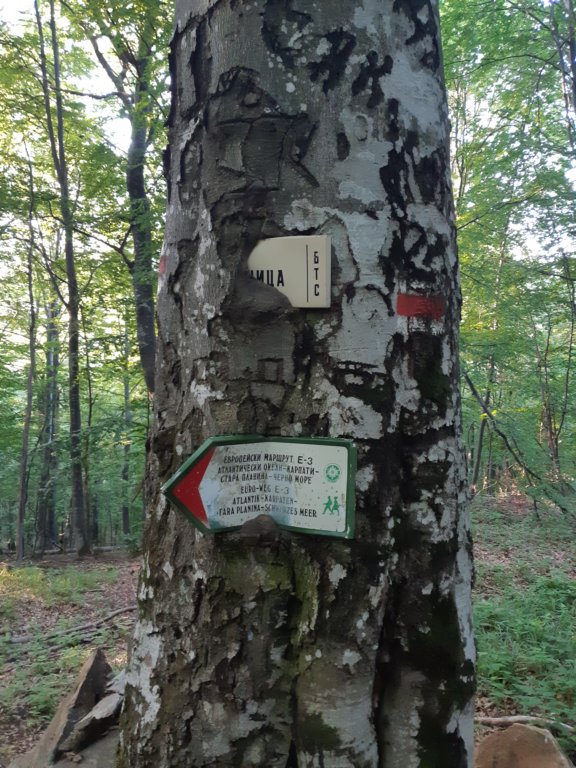 photo31.jpg