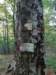 photo31_small.jpg