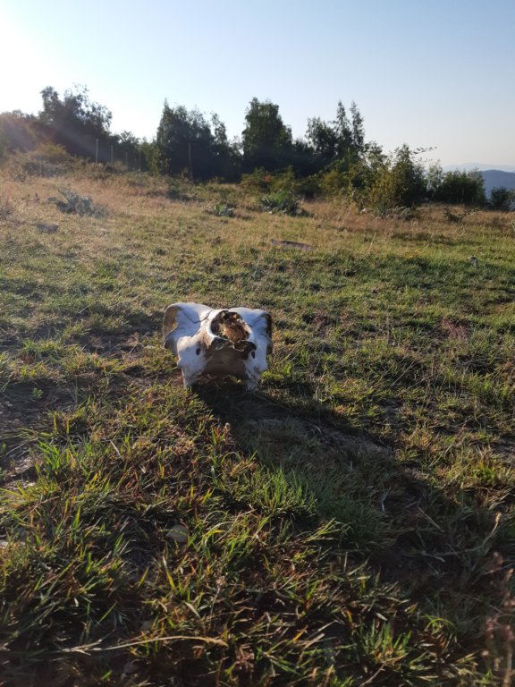 photo33.jpg