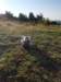 photo33_small.jpg