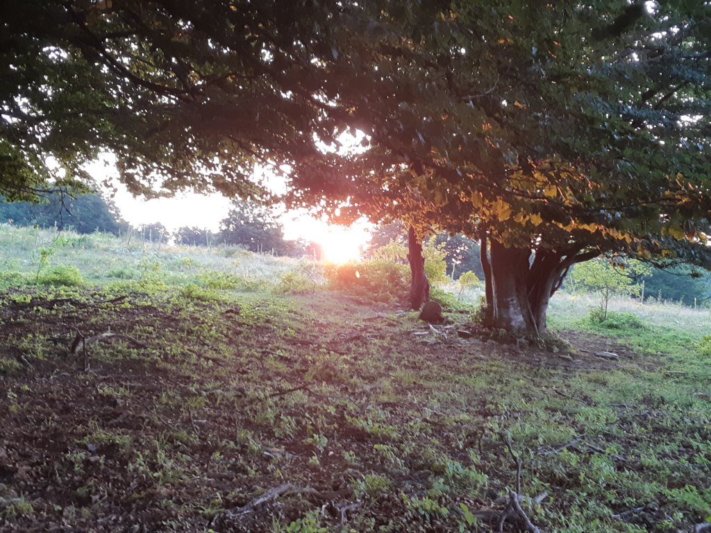 photo7.jpg