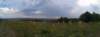 photo99_small.jpg