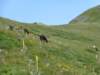 photo183_small.jpg