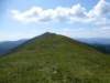 photo196_small.jpg