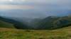 photo252_small.jpg